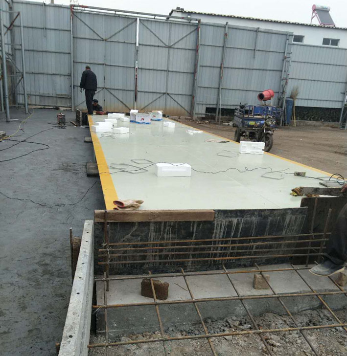 1546420432191555.jpg 7.jpg